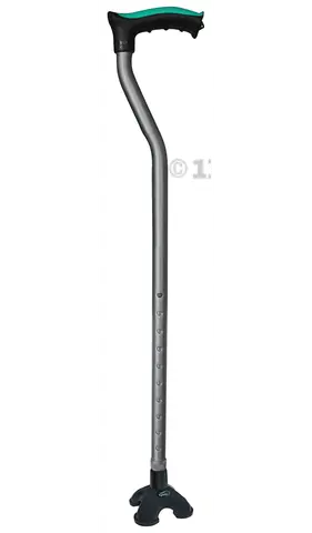 Walking stick (Tetra)