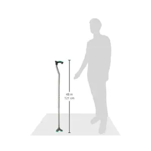 Walking stick (Trio)
