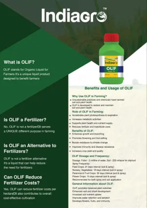 OLIF SUPER 16 500 ML