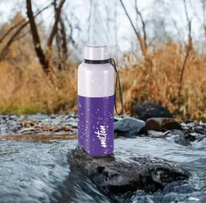 Ancy 750 Thermosteel Water Bottle, 750 ml Steel Bottle (Pack of 1, Purple)