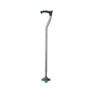 Walking stick (Trio)