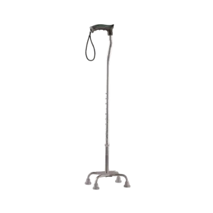 Walking stick (Quadripod)