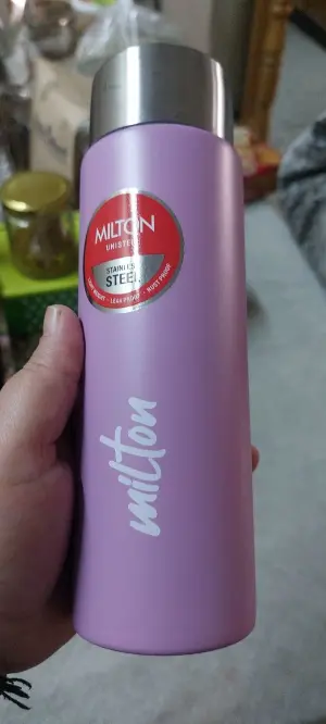 Bitsy Stainless Steel Light Purple Colour Water Bottle 450 ml 