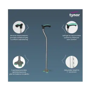 Walking stick (Trio)