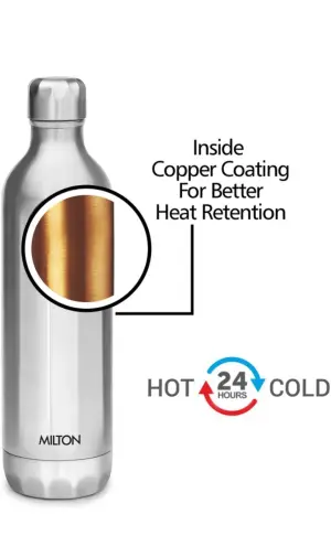 Bliss 600 540 ml Steel Bottle (Pack of 1, Silver)