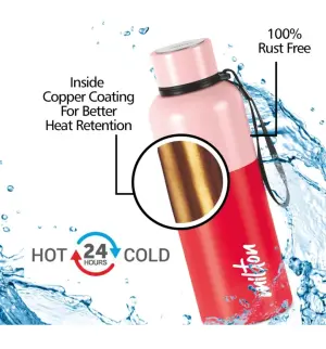 Ancy 500 Thermosteel Water Bottle, ISI Certified, 24 Hr Hot and Cold 520 ml Steel Flask (Pack of 1, Red)