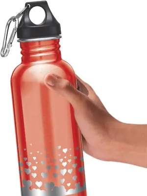 ALIVE Stainless Steel Orange Colour Water Bottle (500 ml) 