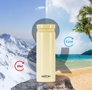 Milton Minimate 260 Thermosteel Insulated Water Bottle, 260 ml, 24 Hr Hot and Cold | Leak Proof Lid, ISI Certified I Vacuum Insulated | for Office, Gym, School | Ivory