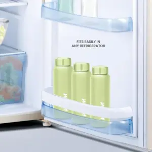 Aqua Stainless Steel Pista Green Colour Water Bottle 750 ml 