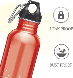 ALIVE Stainless Steel Orange Colour Water Bottle (750 ml) 
