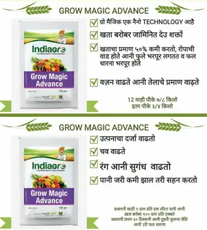 GROWMAGIC ADVANCE 100 GMS