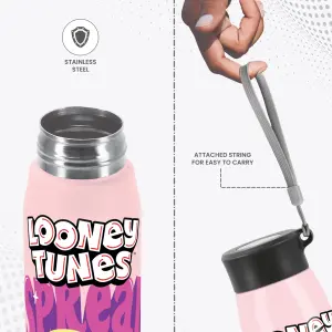 Handy Design Stainless Steel Light Pink Colour Water Bottle (650ml) 