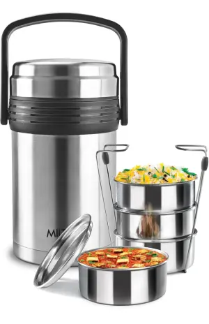 Galore Thermosteel Tiffin Set of 4 Containers, 370 ml Each | Carry Case | Easy to Carry | Hot & Cold | Rust Proof