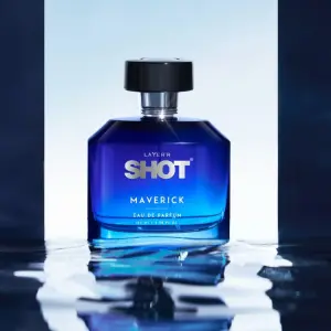 MAVERICE EAU DE PARFUM (100ml) 